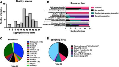 In vitro responses of human dermal fibroblasts to mechanical strain: A systematic review and meta-analysis